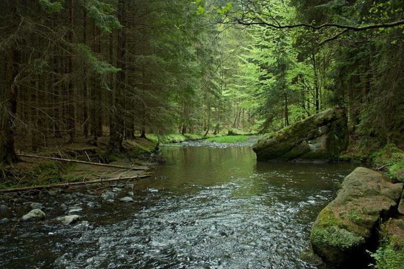 Ubytovani U Potoka Kunratice  エクステリア 写真
